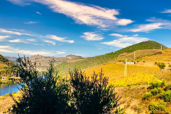Douro Valley Private Tour: 2 Farms, Lunch & Boat Trip - Key highlights before you go