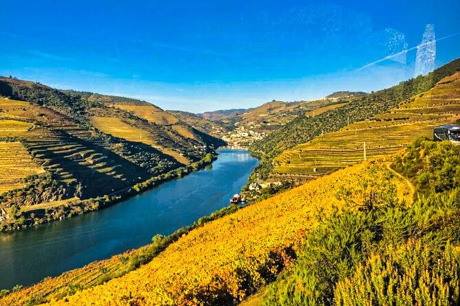 Douro Valley Private Tour: 2 Farms, Lunch & Boat Trip - Porto to Douro Valley, with a guide who sets the tone