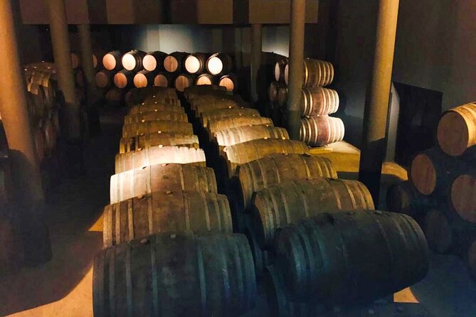 Douro Valley Private Tour: 2 Farms, Lunch & Boat Trip - Vale do Douro farm visit: wine plus olive oil and honey tasting