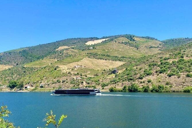 Douro Valley Private Tour: 2 Farms, Lunch & Boat Trip - Miradouro Torguiano: a short stop that makes photos easier