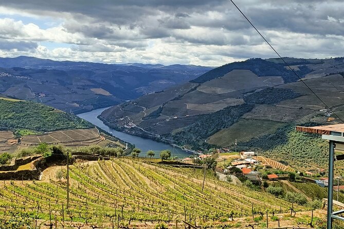 Douro Valley Private Tour - Returning to Porto: A Same-Day Finish Without the Stress