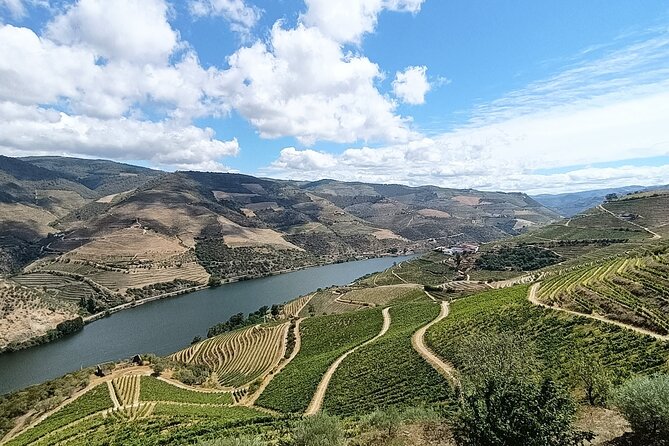 Douro Valley Private Tour - Price and Value: Why $348.96 Per Person Can Make Sense
