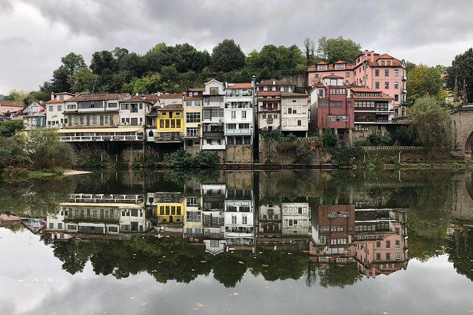 Douro Valley Private Tour from Oporto - Quinta do Tedo winery visit and tasting: what you learn beyond the glass