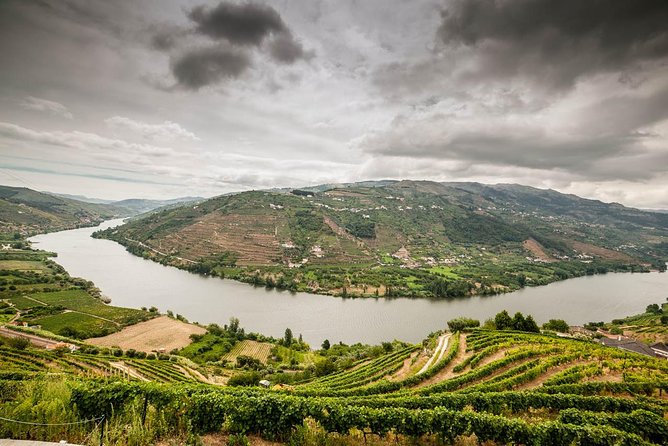 Douro Valley Private Tour from Oporto - Casal de Loivos viewpoint: when the Douro Valley finally makes sense