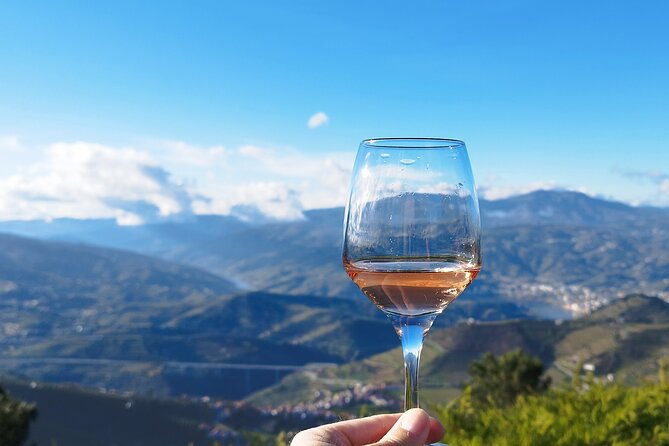 Douro Valley private tour full day - Stop 4: A 1-Hour Douro Boat Ride With Companhia Turística