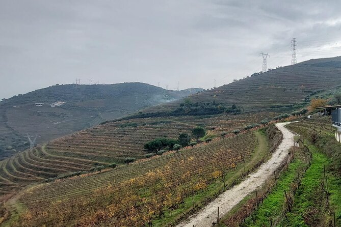 Douro Valley private tour full day - Food Plan: No Lunch Included, So Plan Smart