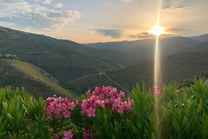 Douro Valley private tour includes wine tasting and boat trip - Douro Valley sights you get in one smooth, private day