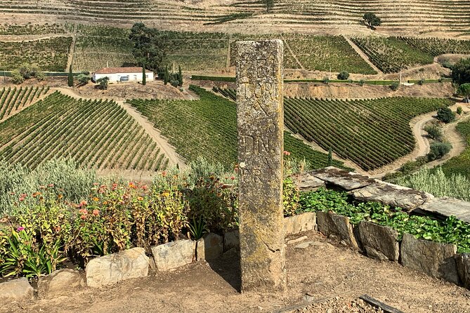 Douro Valley private tour includes wine tasting and boat trip - Pinhão station tour, viewpoints, and the included boat through the Golden Valley