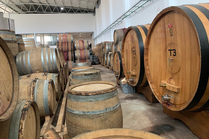 Douro Valley private tour includes wine tasting and boat trip - Peso da Régua farm visit and wine tasting, plus lunch time on your own