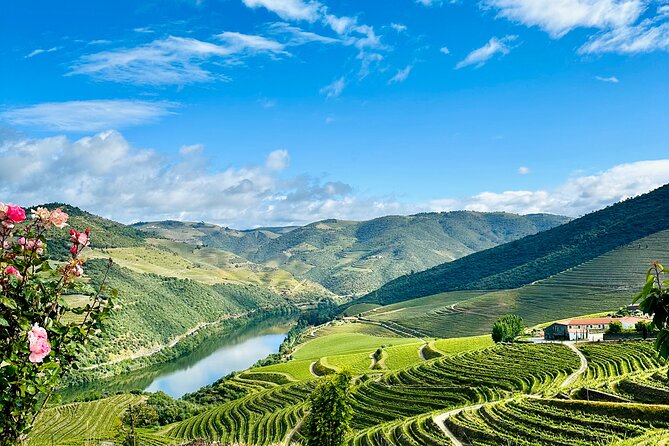 Douro Valley private tour includes wine tasting and boat trip - Wine tasting and boat ride, what to expect in reality