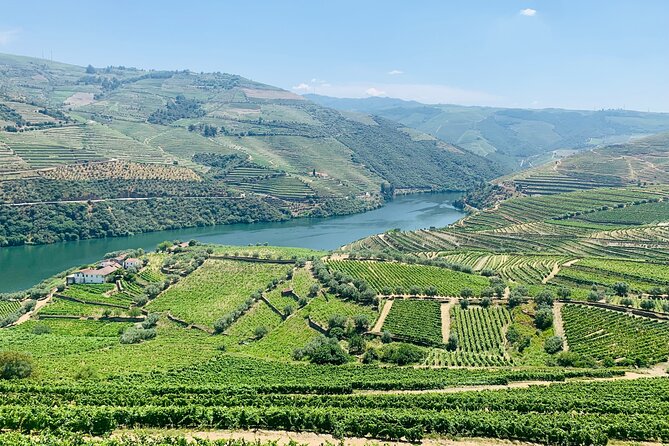 Douro Valley private tour includes wine tasting and boat trip - Practical comfort tips for a full Douro Valley day