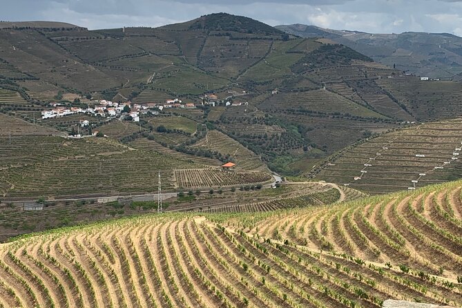 Douro Valley private tour includes wine tasting and boat trip - Your 9:00 am route from Porto, and how long each part lasts