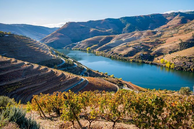 Douro Valley: private tour with lunch and wine estate all inclusive - Getting picked up in Porto and settling into the ride