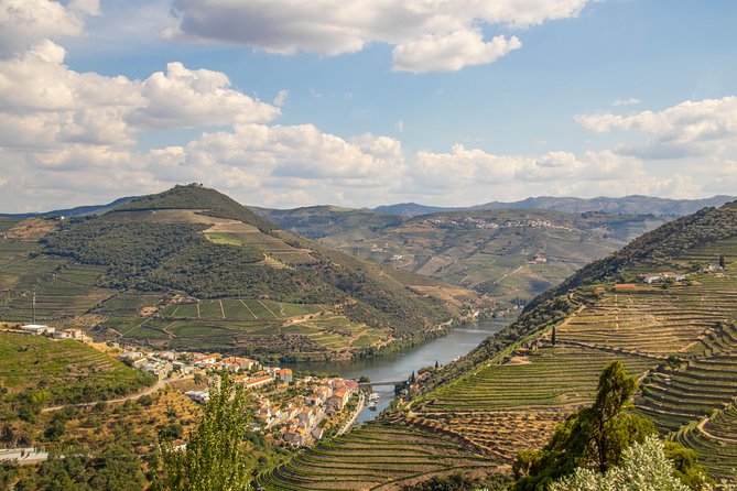 Douro Valley: private tour with lunch and wine estate all inclusive - Lunch in the Douro Valley: traditional plate, drinks included