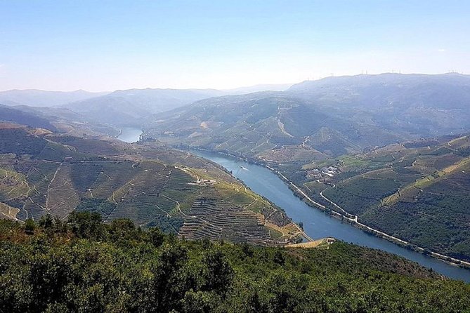 Douro Valley: private tour with lunch and wine estate all inclusive - Pinhão vineyard estate walk and tasting: where the day turns into wine education