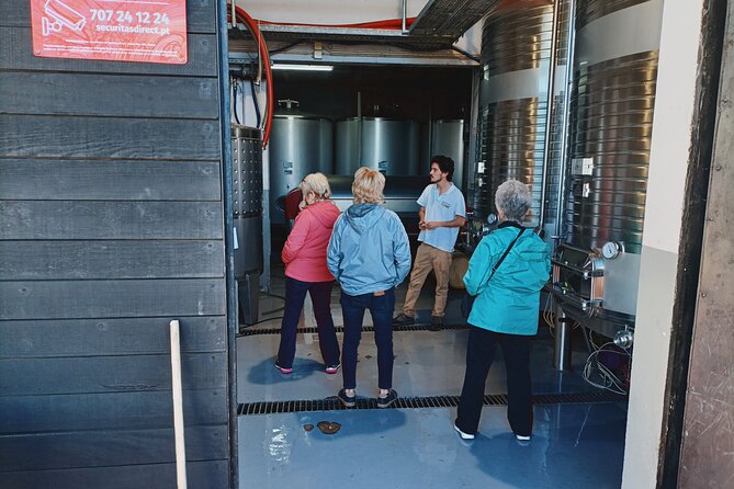 Douro Valley Private Tour with Sommelier - Why this Douro Valley day trip works from Porto