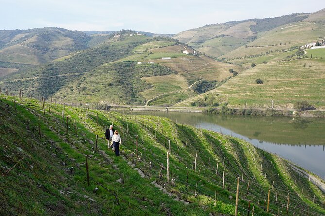 Douro Valley private tour with wine tasting and boat tour - Pinhão Railway Station Tiles: About 3,047 Ceramics and a 19th-Century Platform Stop