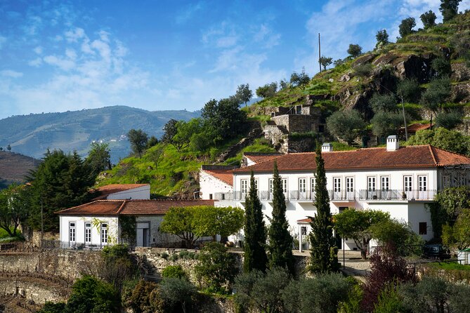 Douro Valley private tour with wine tasting and boat tour - Guides Make the Difference: Marco, João Frade, Bernadino, and Ivan Oliveira