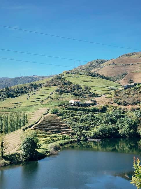 Douro Valley: PRIVATE TOURS with 1 Wine Tasting - One Wine Estate Visit With Tastings and a Real Winemaking Guide