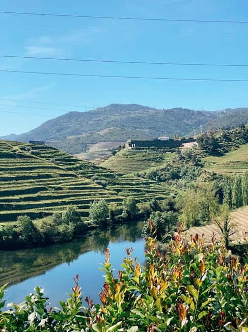 Douro Valley: PRIVATE TOURS with 1 Wine Tasting - Price and Logistics: What $330 Buys You (and What It Does Not)