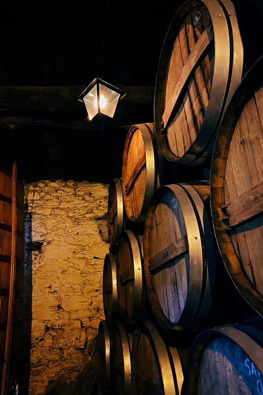 Douro Valley: PRIVATE TOURS with 1 Wine Tasting - What to Bring and How to Stay Comfortable