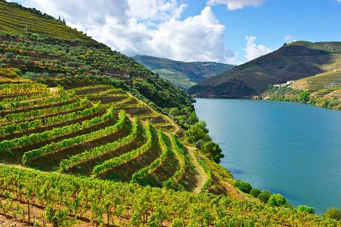 Douro Valley Private Wine and Food Tour From Porto - Key highlights to know before you go