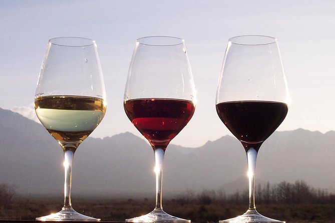 Douro Valley Private Wine and Food Tour From Porto - How a private Douro Valley day works from Porto