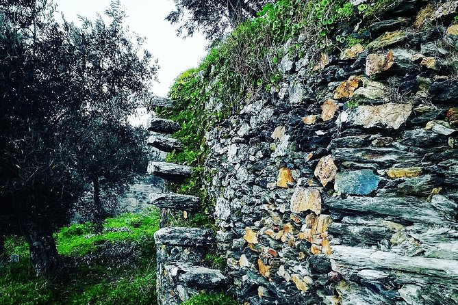 Douro Valley Private Wine and Food Tour From Porto - Pinhão lunch in your own time: how to use the two-hour window