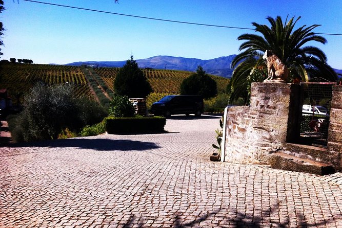 Douro Valley Private Wine and Food Tour From Porto - DOrigem winery: finishing with a second guided tasting