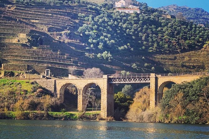 Douro Valley Private Wine and Food Tour From Porto - Who this tour suits best (and who should consider other options)