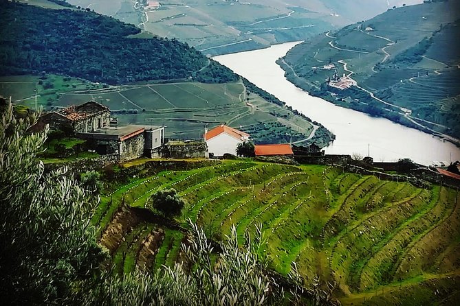 Douro Valley Private Wine and Food Tour From Porto - Price and logistics: what you’re paying for, and what’s extra