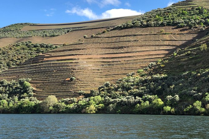 Douro Valley private wine tour | tastings and lunch included - Douro Valley in one day, with Porto pick-up