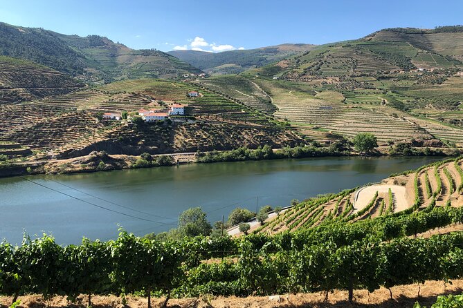 Douro Valley private wine tour | tastings and lunch included - Quinta tastings and Port plus Douro DOC stops