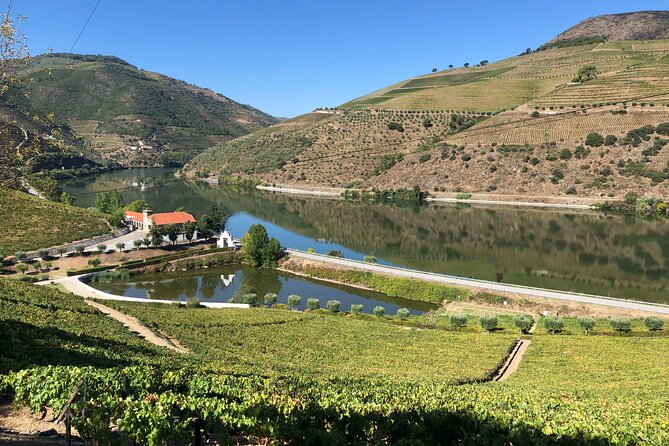 Douro Valley private wine tour | tastings and lunch included - Practical tips for wine tastings without getting sloppy