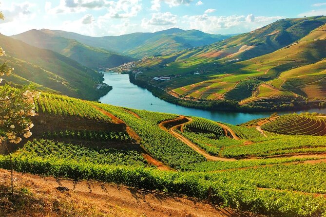 Douro Valley - Relaxed Departure from Porto - Key Things I’d Focus On