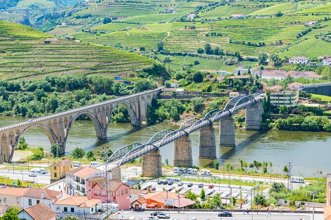 Douro Valley - Relaxed Departure from Porto - Quinta de São Luís Winery Tour and Wine Tasting, the Main Event