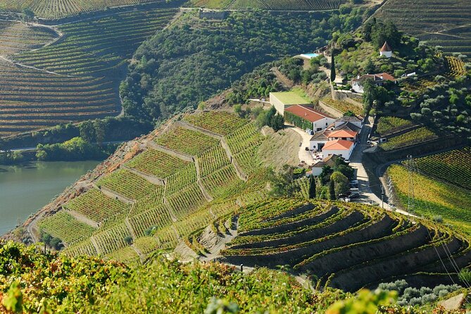 Douro Valley - Relaxed Departure from Porto - What’s Included, What You Pay Extra For