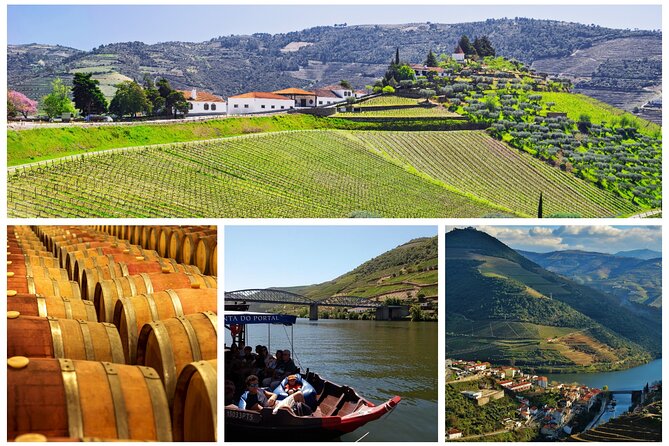 Douro Valley - Relaxed Departure from Porto - Santa Marta de Penaguiao Port Tasting: Where Flavor Meets the Scenery
