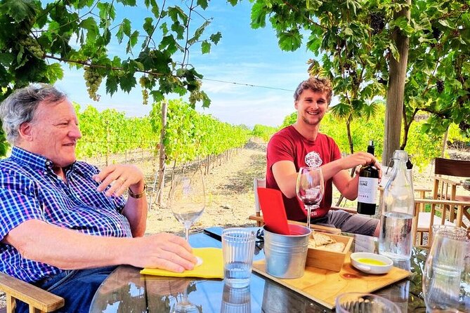 Douro Valley Small-Group Tour: 2 Wineries, Lunch, Optional Cruise - Your Douro Valley time: vines, Port tradition, and guided context