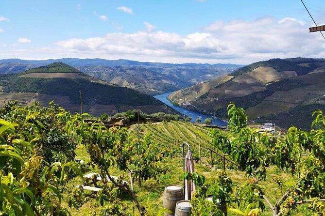 Douro Valley Small-Group Tour: 2 Wineries, Lunch, Optional Cruise - The second winery stop: Port, and sometimes sweet add-ons