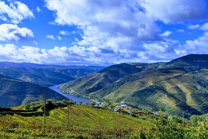 Douro Valley Small-Group Tour: 2 Wineries, Lunch, Optional Cruise - What the small-group structure changes for you