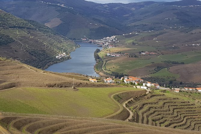 Douro Valley Tour: 2 Vineyard Visits, River Cruise, Winery Lunch - Key highlights worth planning around