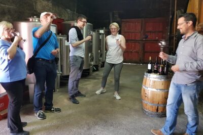 2 Vineyard Visits, River Cruise, Winery Lunch
