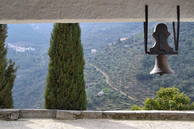 Douro Valley Tour: 2 Vineyard Visits, River Cruise, Winery Lunch - Sabrosa lunch: the 4-course winery meal and port finale