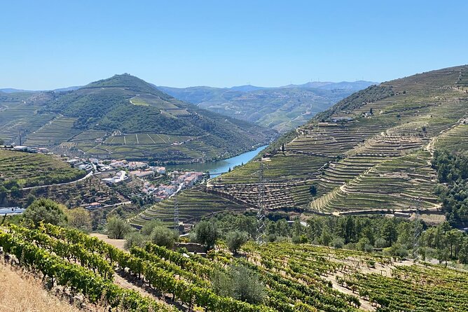 Douro Valley Tour - 3 Wine tastings, Lunch & river Cruise - Pinhão Town Time, Plus the Optional Rabelo Boat
