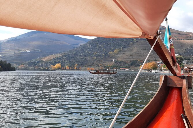Douro Valley Tour - 3 Wine tastings, Lunch & river Cruise - Sabrosa Lunch at a Family Winery, Then Aged Port