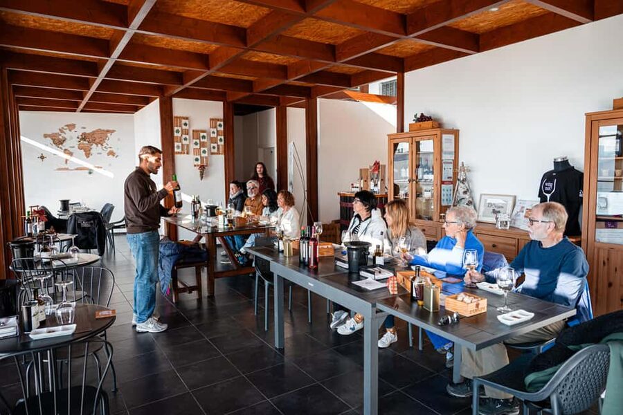 Douro Valley Tour: Visit 2 Wineries, Lunch & River Cruise - Two Winery Estates: Tastings of DOC Douro and Port