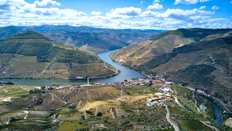 Douro Valley Tour: Visit 2 Wineries, Lunch & River Cruise - Pinhão 1-Hour Douro River Cruise: The Best Reset Moment