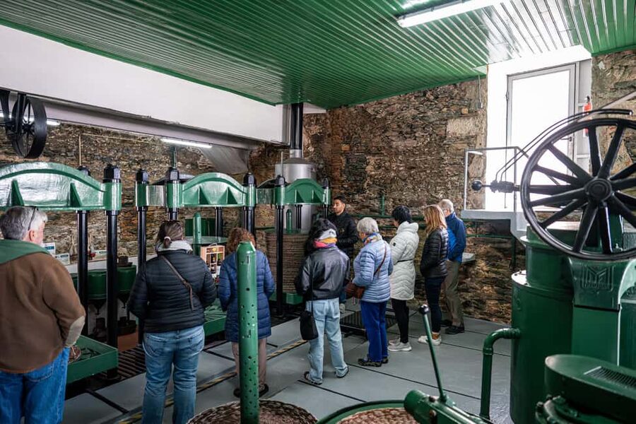 Douro Valley Tour: Visit 2 Wineries, Lunch & River Cruise - Price and Value: What You’re Really Paying For