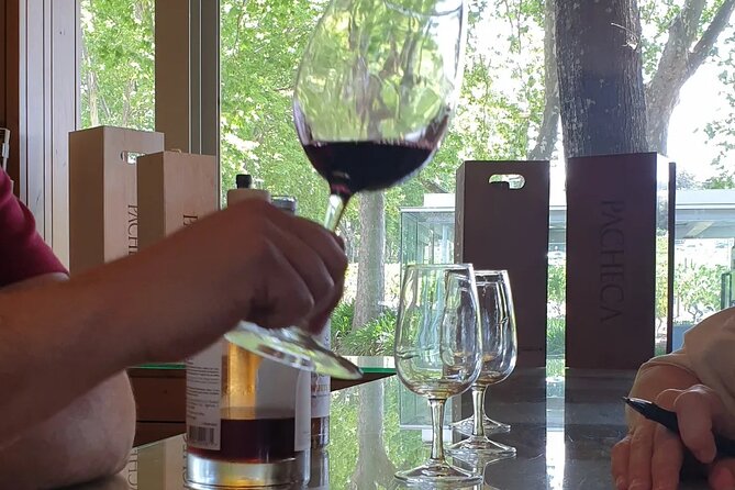 Douro Valley Tour Wine and breathtaking views - Key highlights to know before you go
